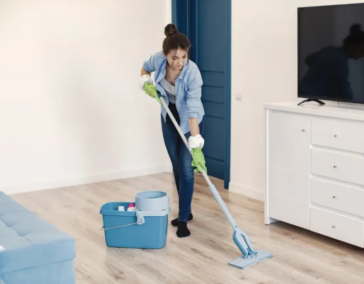 Femme de ménage Petosse